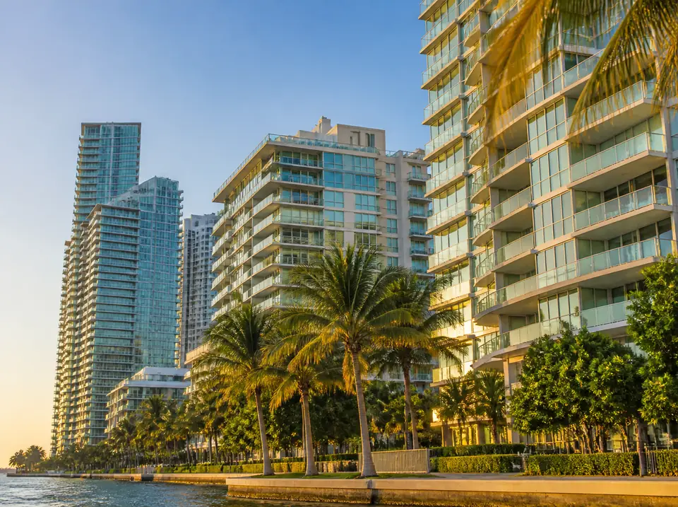High-rise and mid-rise condominium towers on the waterfront with palm trees at sunset